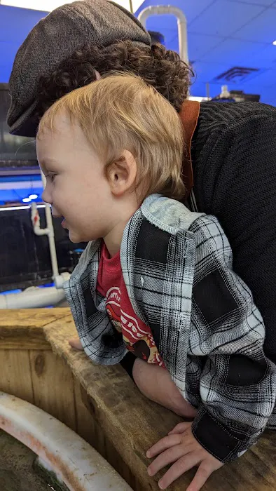 Reef Keepers Aquariums Picture 4