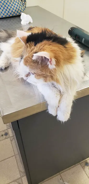 Mount Hope Animal Hospital Picture 4