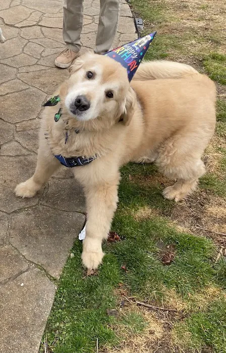 Mount Hope Animal Hospital Picture 7