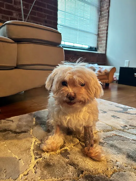 Mount Hope Animal Hospital Picture 8