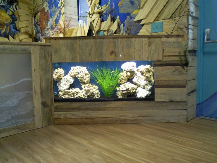 Aquatic Escapes Aquariums Picture 8