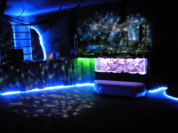 Aquatic Escapes Aquariums Picture 7