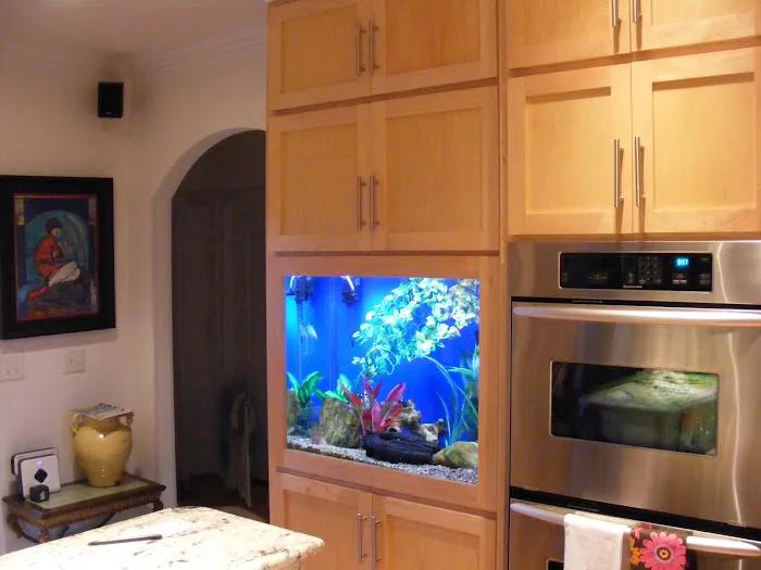 Aquatic Escapes Aquariums Picture 4