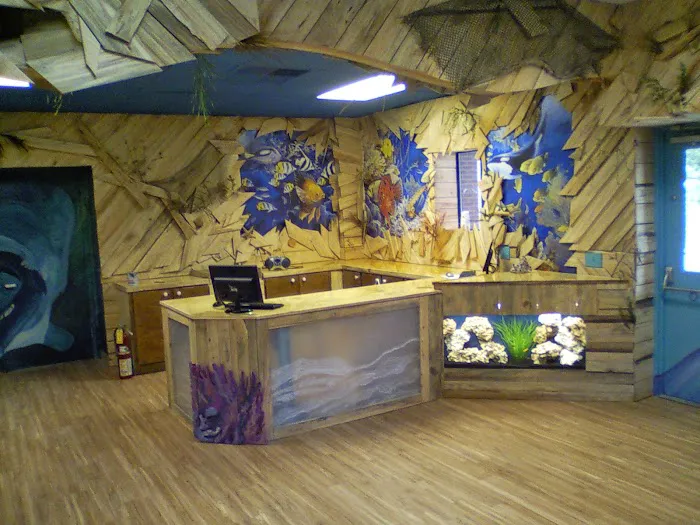 Aquatic Escapes Aquariums Picture 6