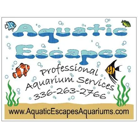 Aquatic Escapes Aquariums Picture 9