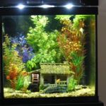 Aquatic Escapes Aquariums