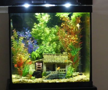 Aquatic Escapes Aquariums