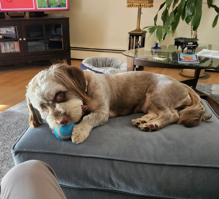 Sakonnet Veterinary Hospital Picture 1