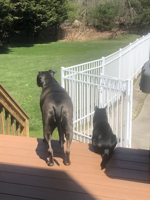 Sakonnet Veterinary Hospital Picture 4