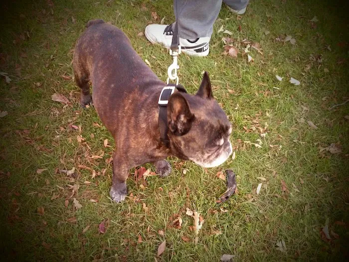 Sakonnet Veterinary Hospital Picture 7