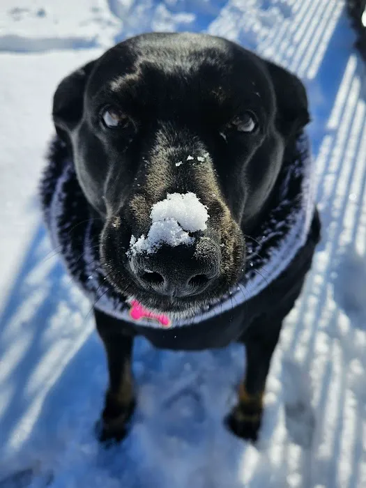 Sakonnet Veterinary Hospital Picture 10