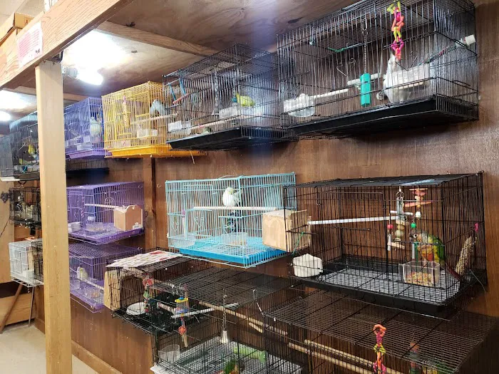 Dubey's Pet World Picture 3