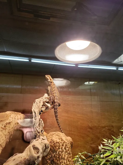 Dubey's Pet World Picture 8