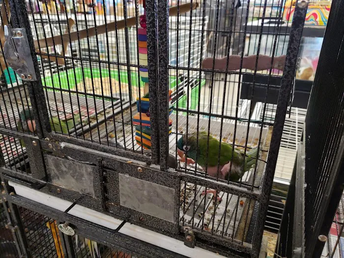 Dubey's Pet World Picture 9