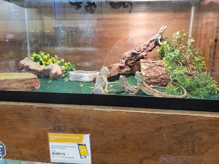 Dubey's Pet World Picture 2