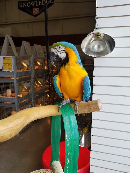 Carolina Town & Country Picture 2