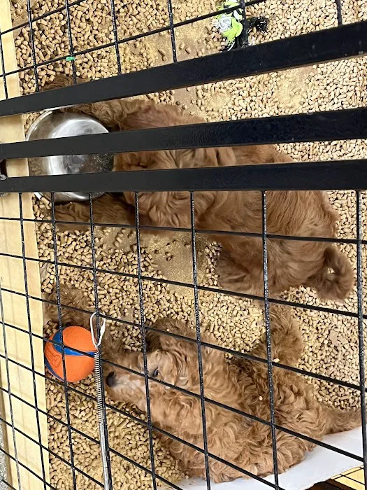 Carolina Town & Country Picture 8