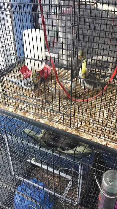 Carolina Town & Country Picture 3