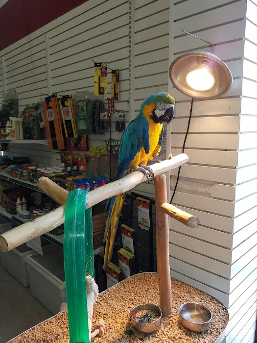 Carolina Town & Country Picture 10