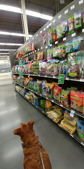 Petco Picture 7