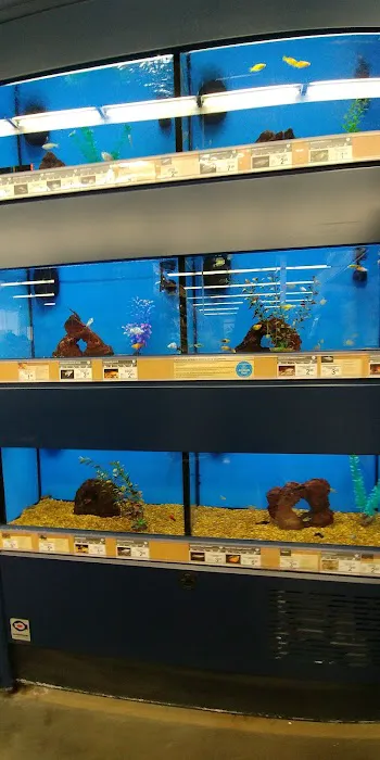 Petco Picture 6