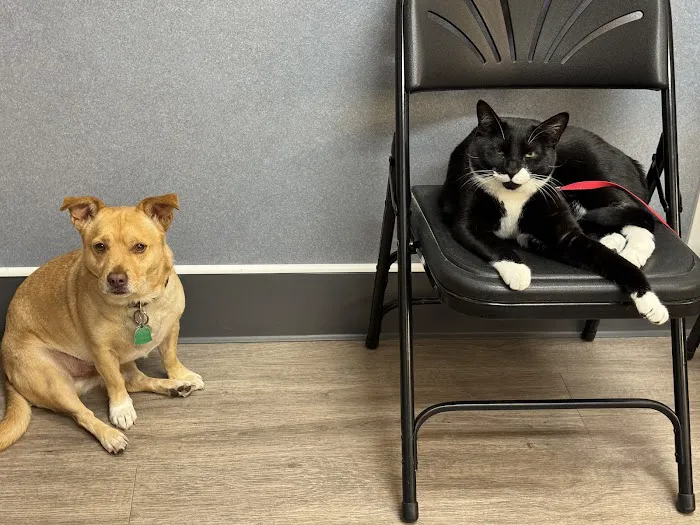 Acoaxet Veterinary Clinic Picture 2