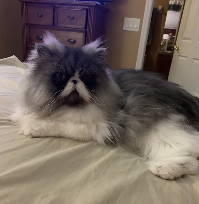 Acoaxet Veterinary Clinic Picture 5