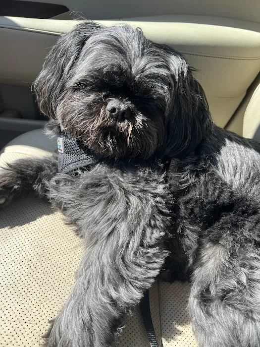 Acoaxet Veterinary Clinic Picture 3