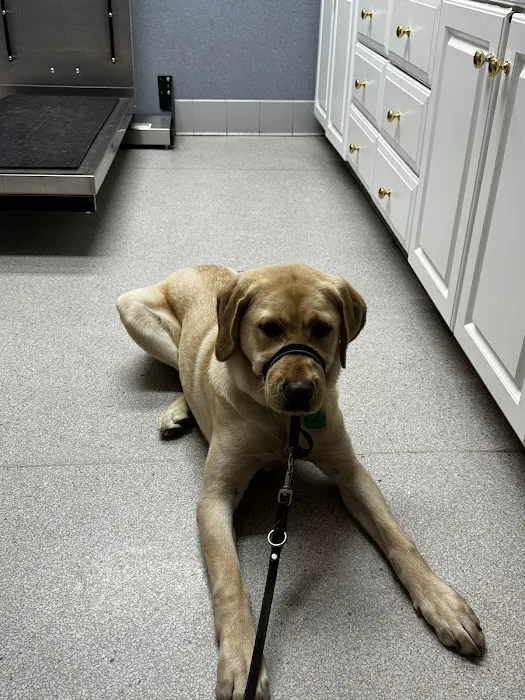 Acoaxet Veterinary Clinic Picture 4