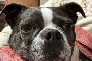 Auto Service Center
