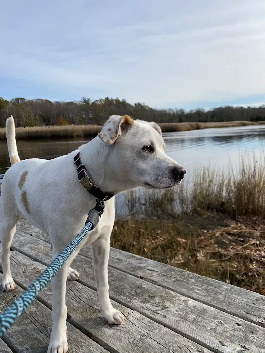 Acoaxet Veterinary Clinic Picture 9