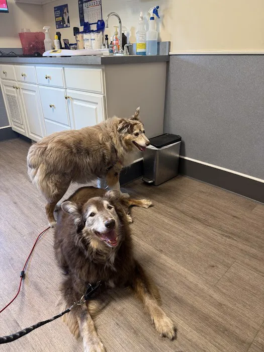 Acoaxet Veterinary Clinic Picture 7