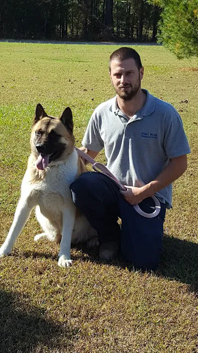 Twin OAK AKITAS Picture 9