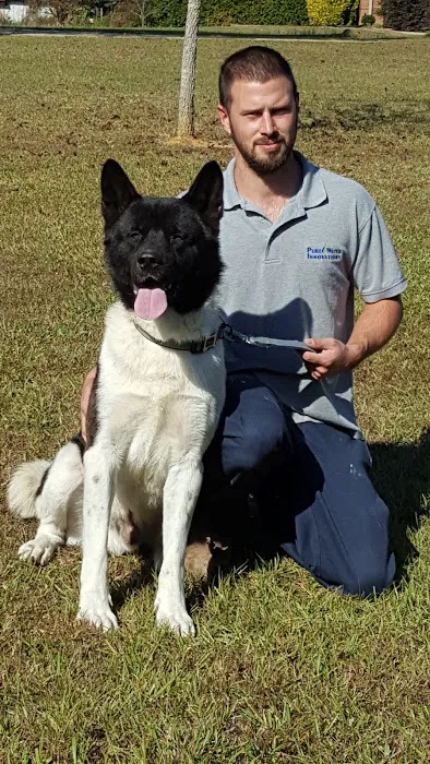 Twin OAK AKITAS Picture 2