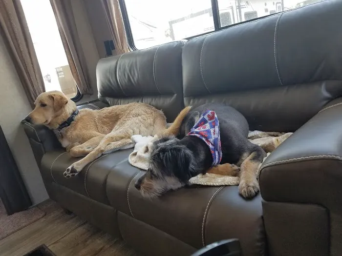 Veterinary Services of Pawtucket Picture 8