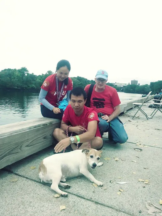 Veterinary Services of Pawtucket Picture 5