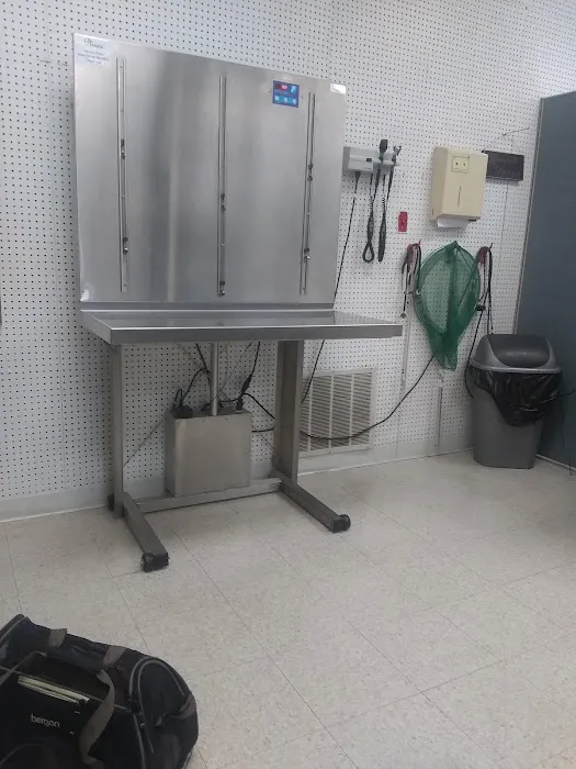 Veterinary Services of Pawtucket Picture 7