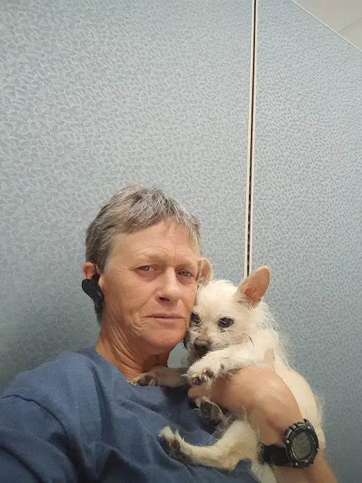 Veterinary Services of Pawtucket Picture 9