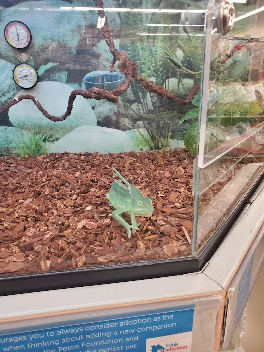 Petco Picture 3