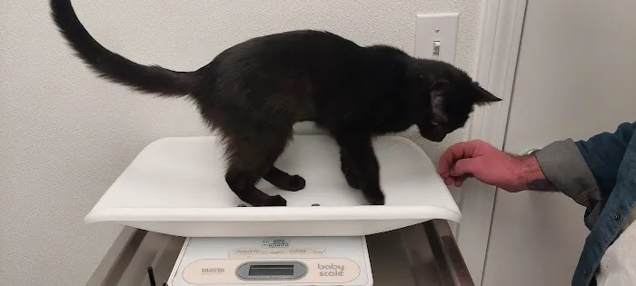 Gansett Animal Hospital Picture 9