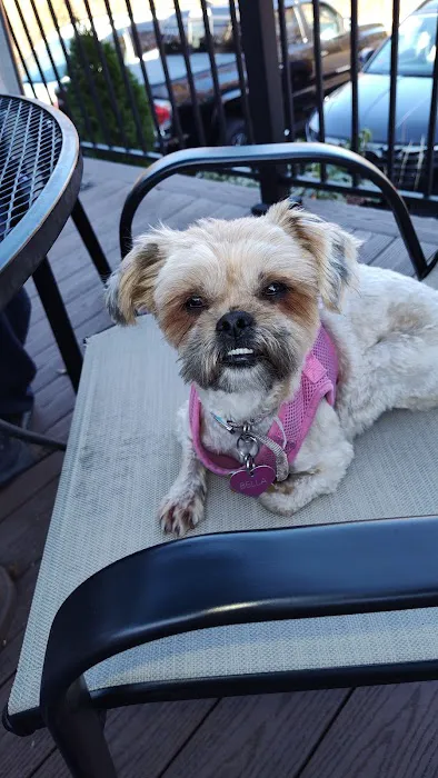 Gansett Animal Hospital Picture 1