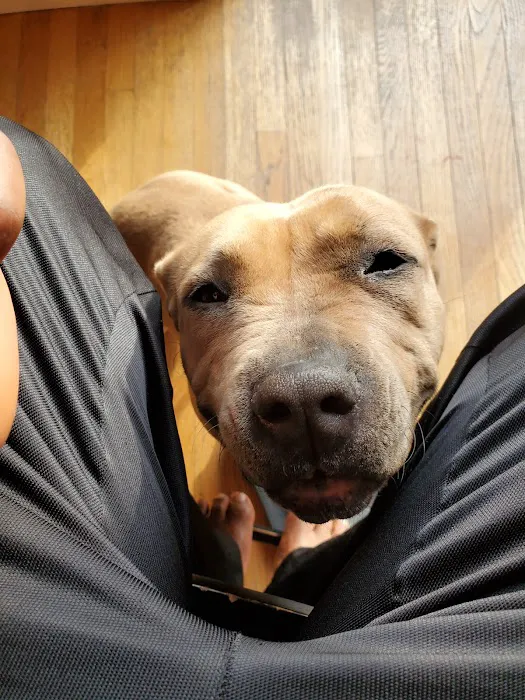 Gansett Animal Hospital Picture 8