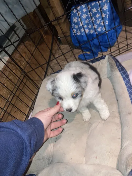 Gansett Animal Hospital Picture 6