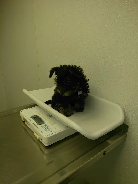 Gansett Animal Hospital Picture 7