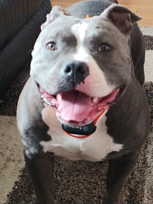 Gansett Animal Hospital Picture 2