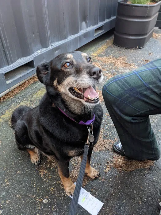 Gansett Animal Hospital Picture 3