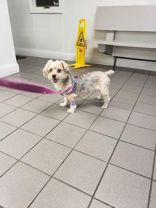 Gansett Animal Hospital Picture 10