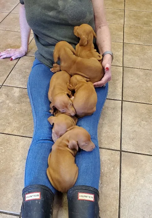 Patty's Puppy Love Picture 7