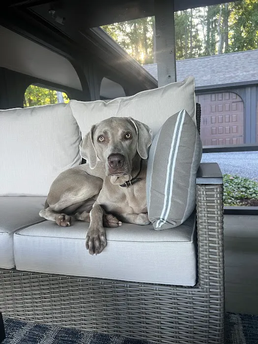 Patty's Puppy Love Picture 1