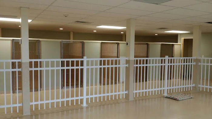 Harbor Animal Hospital Picture 6